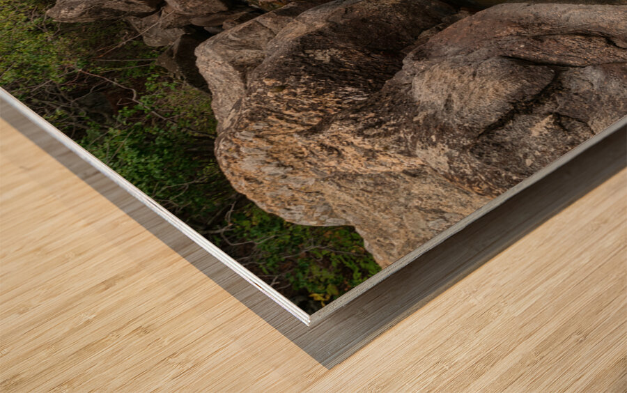 Boulder Canyon Paradise Wood print