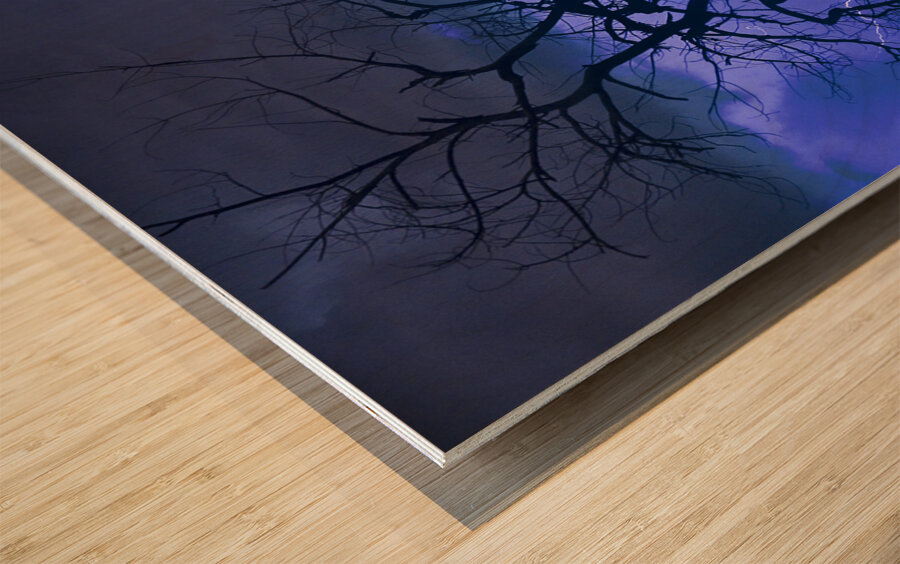 Lightning Tree Silhouette 38 Wood print