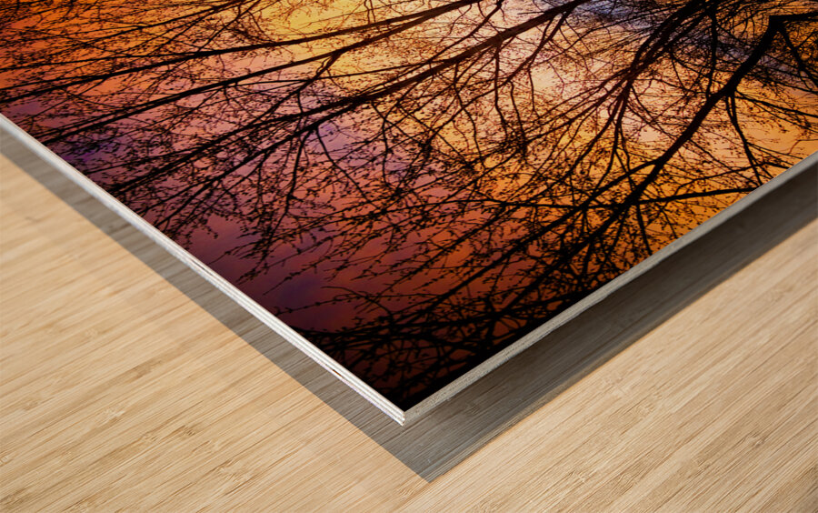 Sunset Tree Silhouette Abstract 1 Wood print