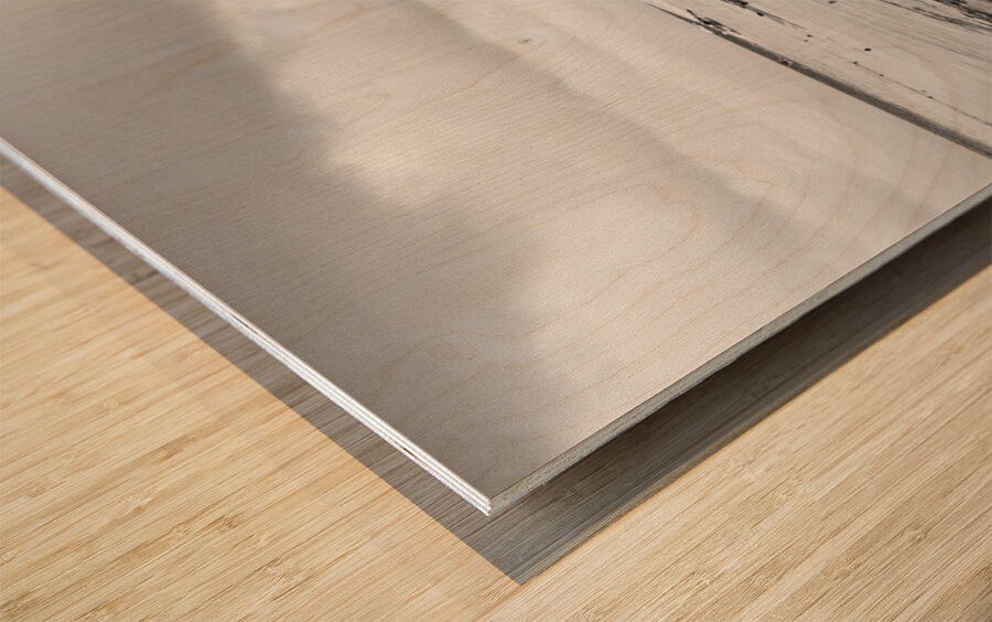 Moalboal Cebu White Sand Beach in Black and White Wood print