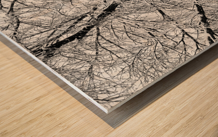 Black and White Snowy Tree Branches Abstract 2 Wood print