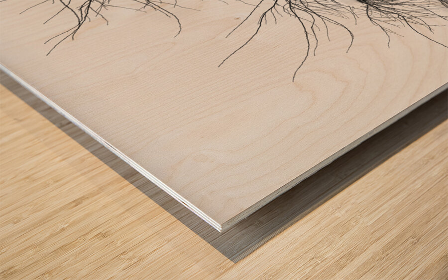 Wild Springtime Winter Tree Black and White Wood print