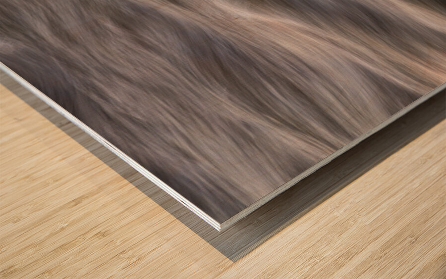 Flowing Creek Sunset Abstract Portrait Wood print