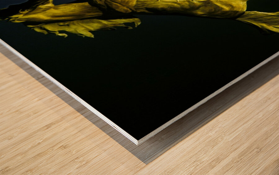 Horse World Wood print