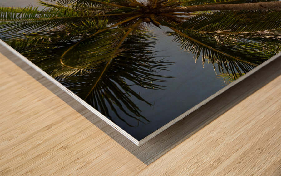 Tropical Sun Wood print