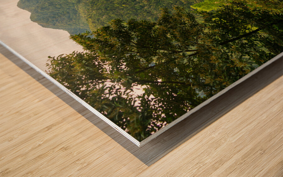 Whispers of the Malantan og Waterfall Hidden in Time Wood print