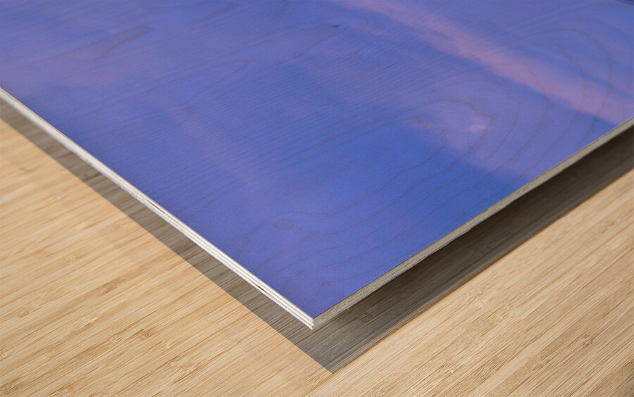 Southwest Sonoran Desert Lightning Strike Wood print