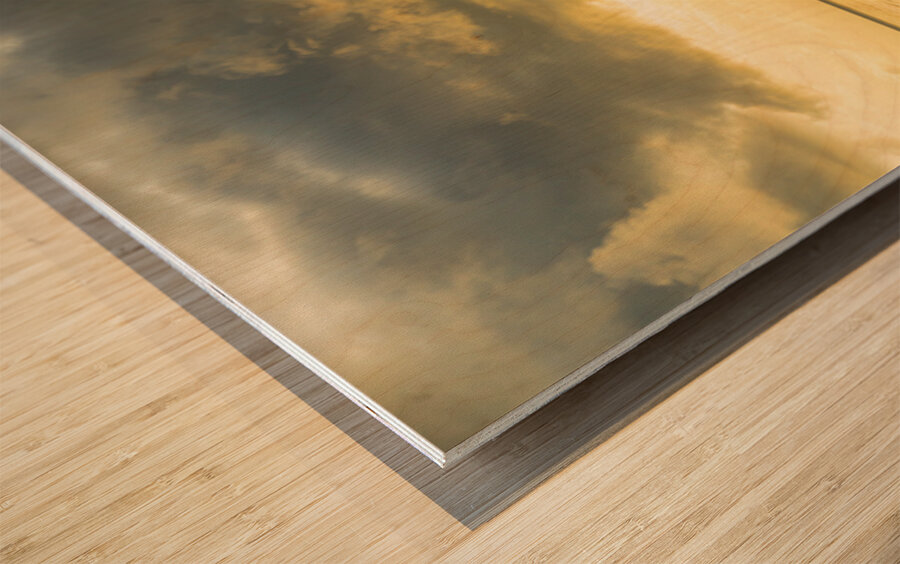 Golden Horizons Drift with the Tide Wood print