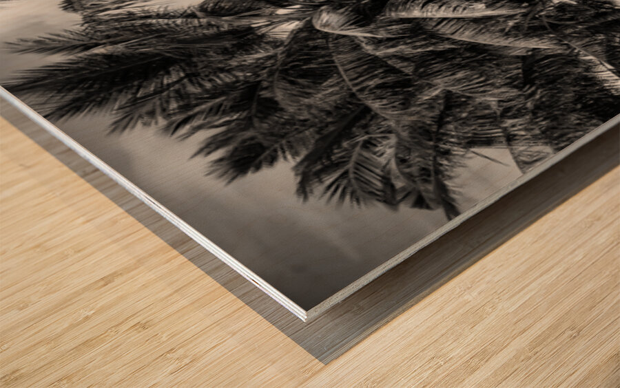 Whispers of Monochrome Palms Wood print