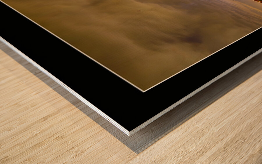 Gods Country  Wood print