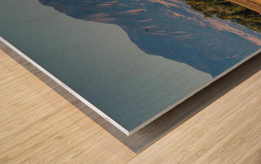 Boulder Flatirons and Cows Wood print