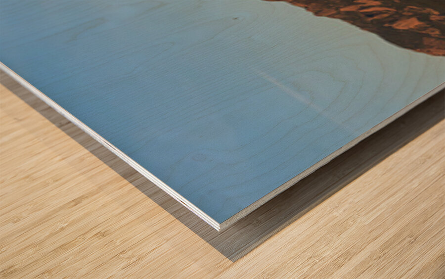 Full Moon Boulder Colorado Front Range Panorama Wood print