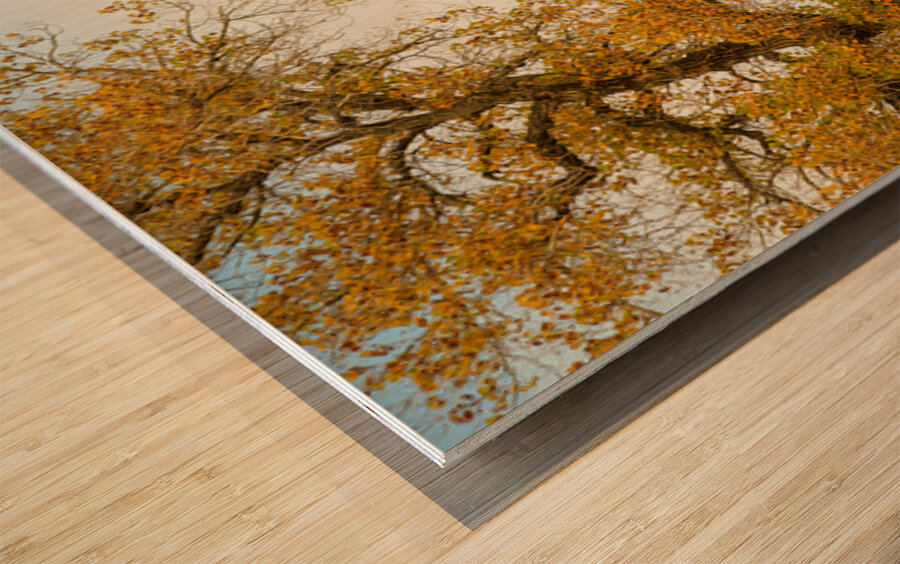 Glory Glory Wood print