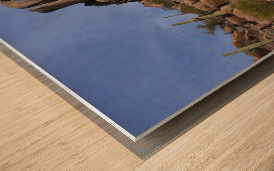 Scenic with Big Boulders Towering Giants of the Sonoran Desert Wood print