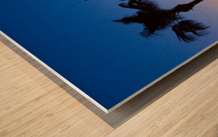 Palm Shadows Dancing in the Colors of Dusk Wood print