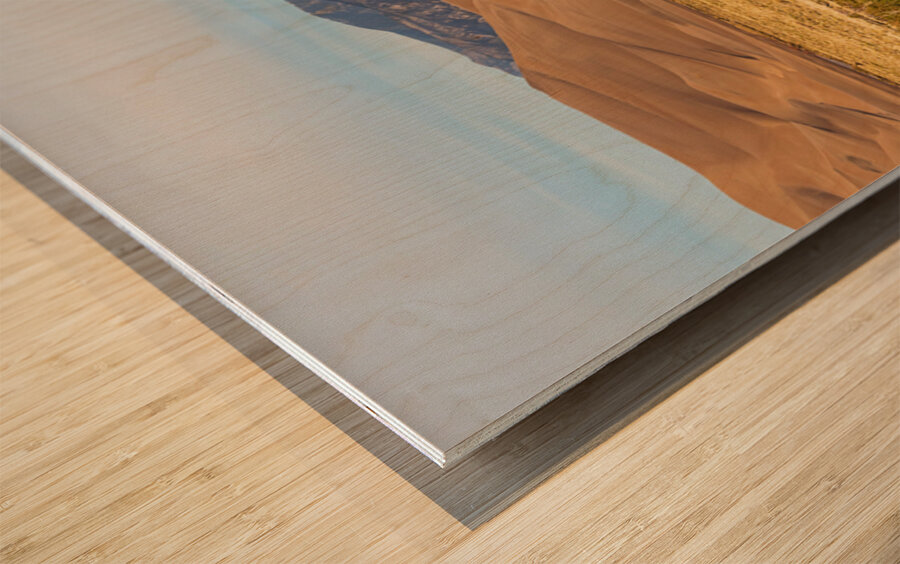 Deer And The Great Colorado Sand Dunes Wood print