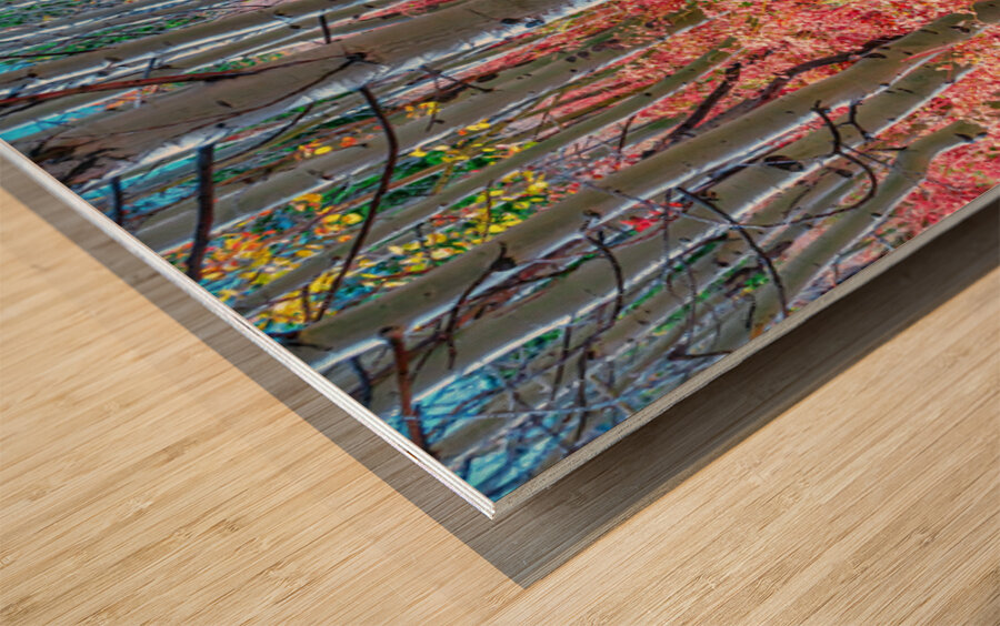 Mystic Red Autumns Fiery Carpet Aspen Grove in Fall Wood print