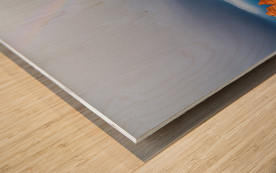 A Rainbows Light Over Utahs Desert Spires Wood print