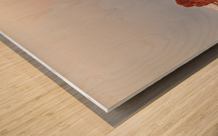 A Desert Rainbows Vibrant Display Wood print