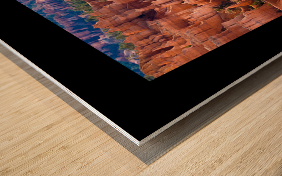 Bryce Canyon Utah Hoodoos Glowing in Desert Light Wood print