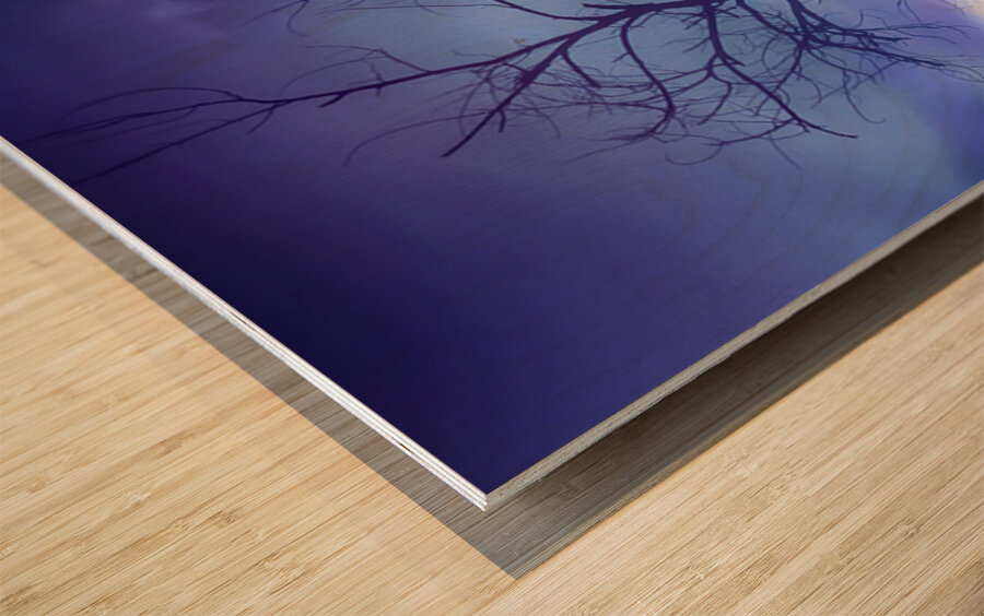 Purple Rain Over Boulder County Colorado Wood print