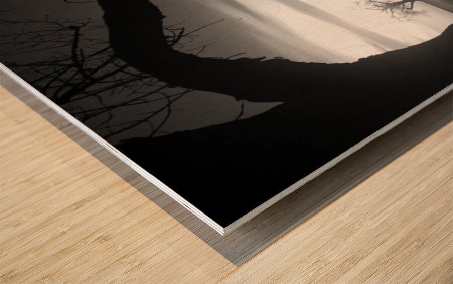 Whispers of Trees and Meadows at Sunrise in Black and White Wood print