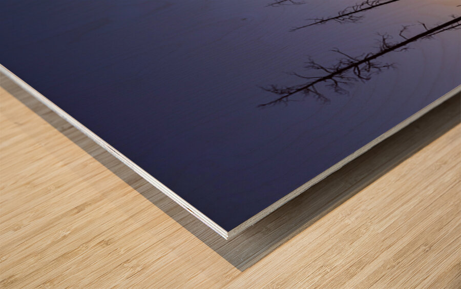 Yellowstone National Park wildfire aftermath Wood print