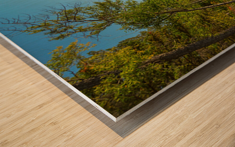 Jenny Lake Rocky Shoreline Grand Teton National Park Fine Art Print Wood print