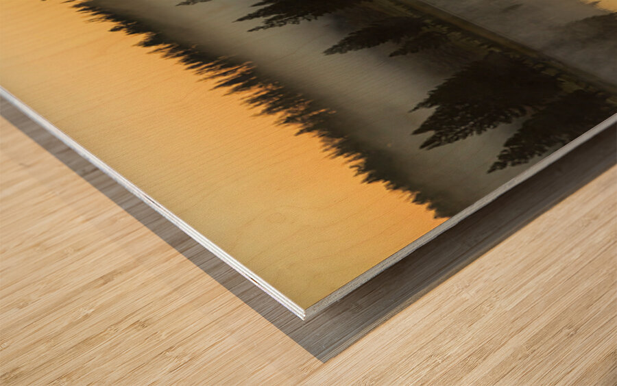 Yellowstone Wyoming Foggy Forest Lake Reflection Fine Art Print Wood print