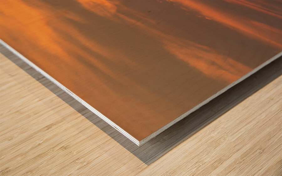 Island Princess Cruise Ship Sailing Into a Puerto Vallarta Sunset Wood print