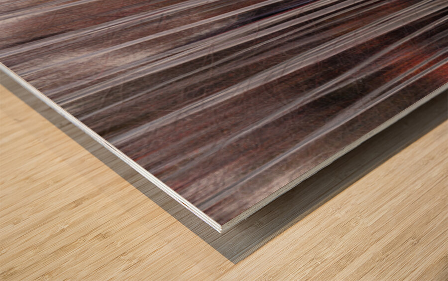 Crimson Silence in Motion Fine Art Forest Photography Print Wood print