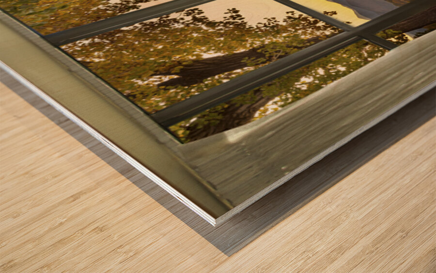 Golden Reflections Mountain Window View Fine Art Landscape Wood print