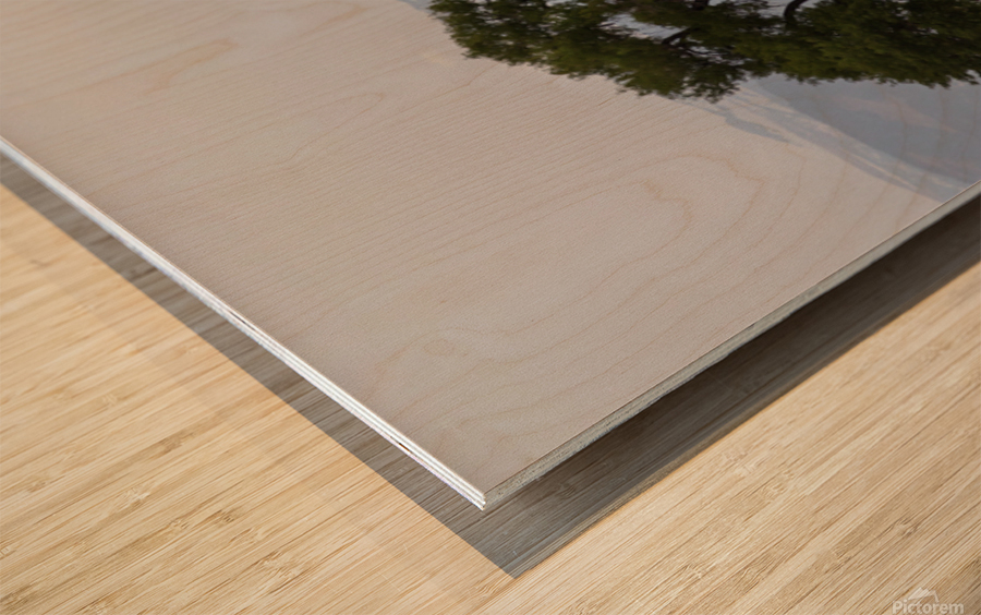 Boulder County CO Panorama1 Wood print