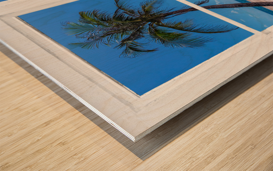 Tropical Paradise Whitewash Window View Wood print