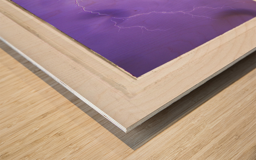 Rainy Country Barn White Window View Wood print