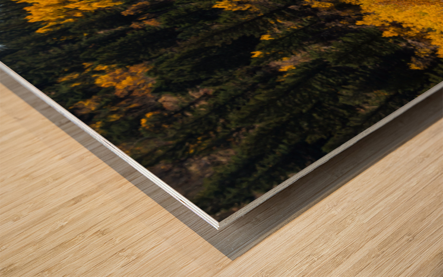 Ward Colorado Panoramic Autumn View Wood print