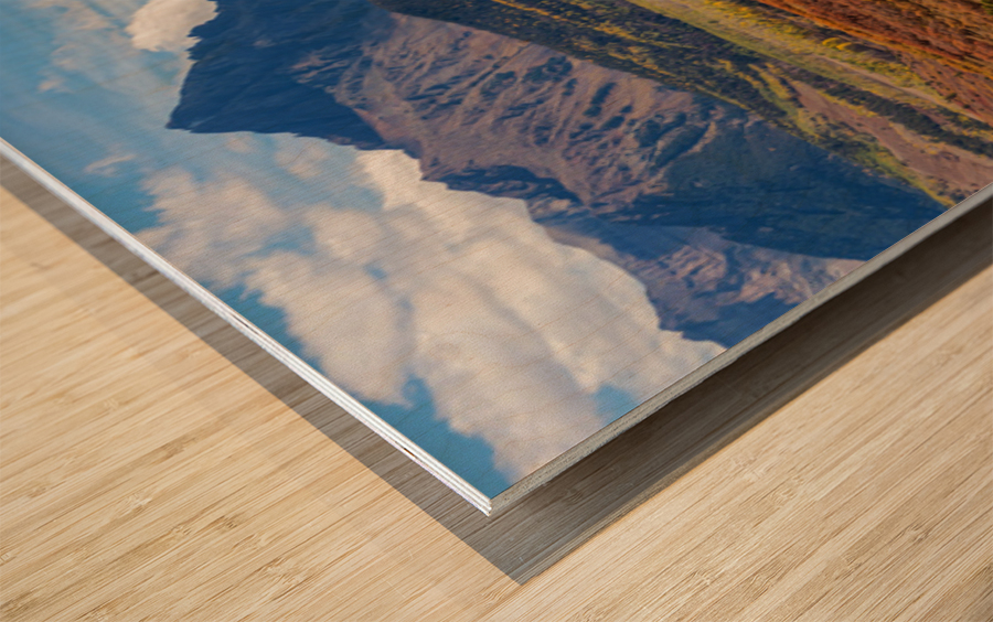 Ridgeway Panorama 2 Part 1 Wood print