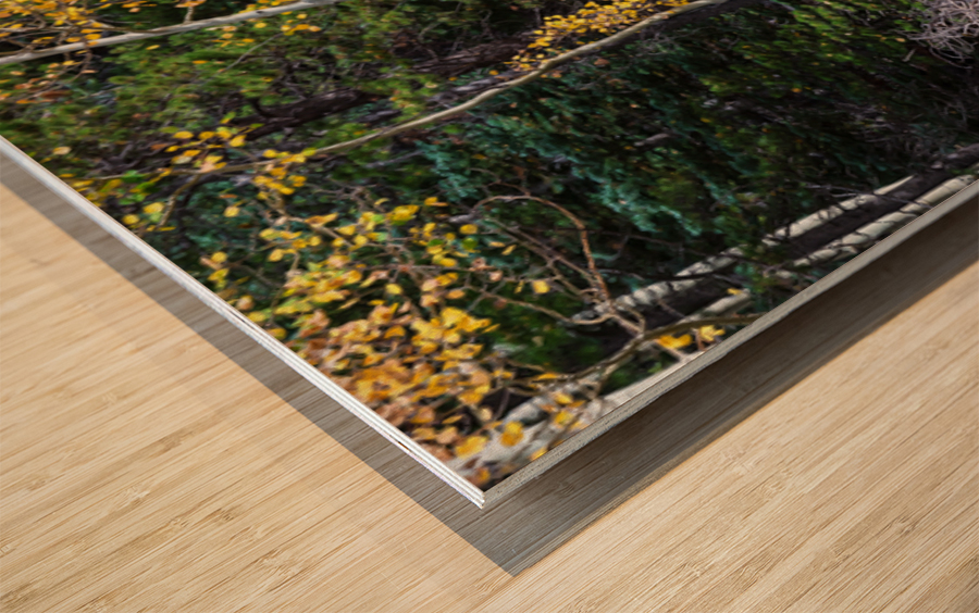 Sunday Drive Wide Panoramic View Wood print