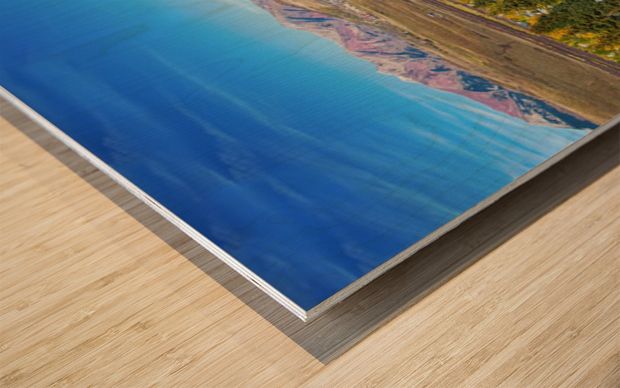 Crested Butte Town Panorama Wood print