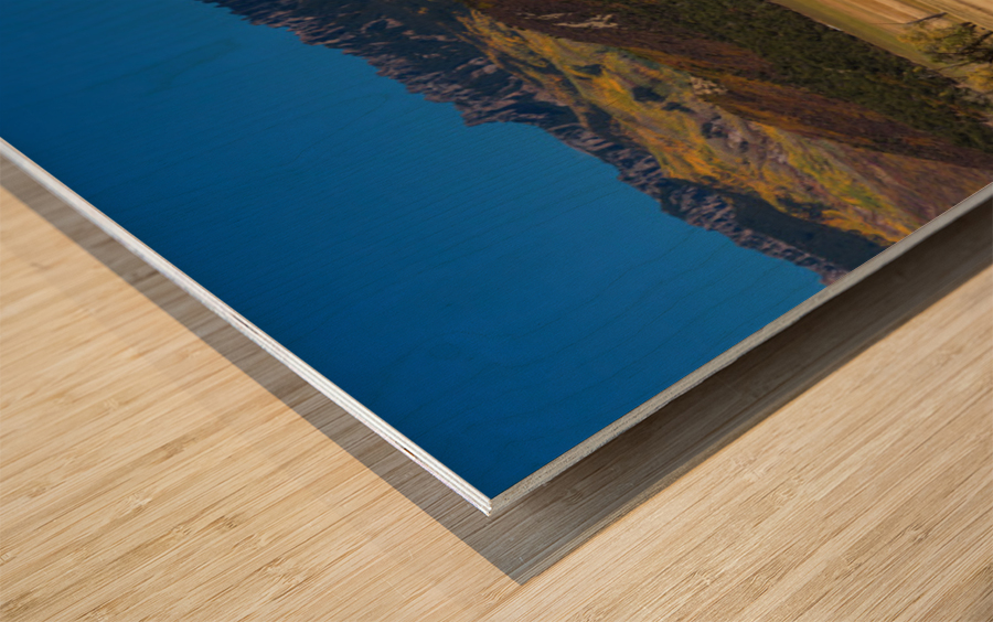 Telluride Panorama 2 Wood print