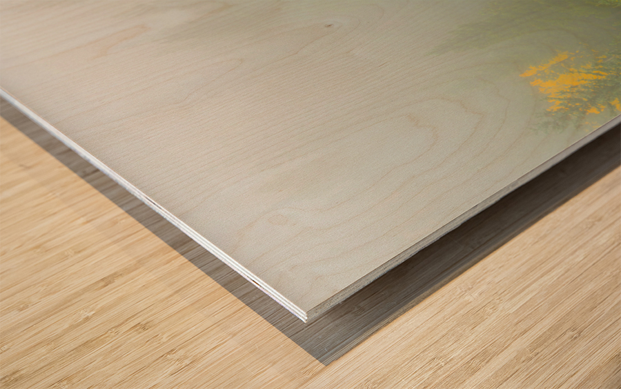 Color in the Clouds Wood print