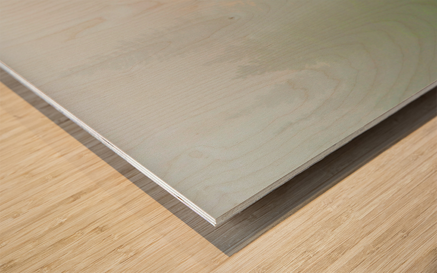 Deep in the Fog Wood print