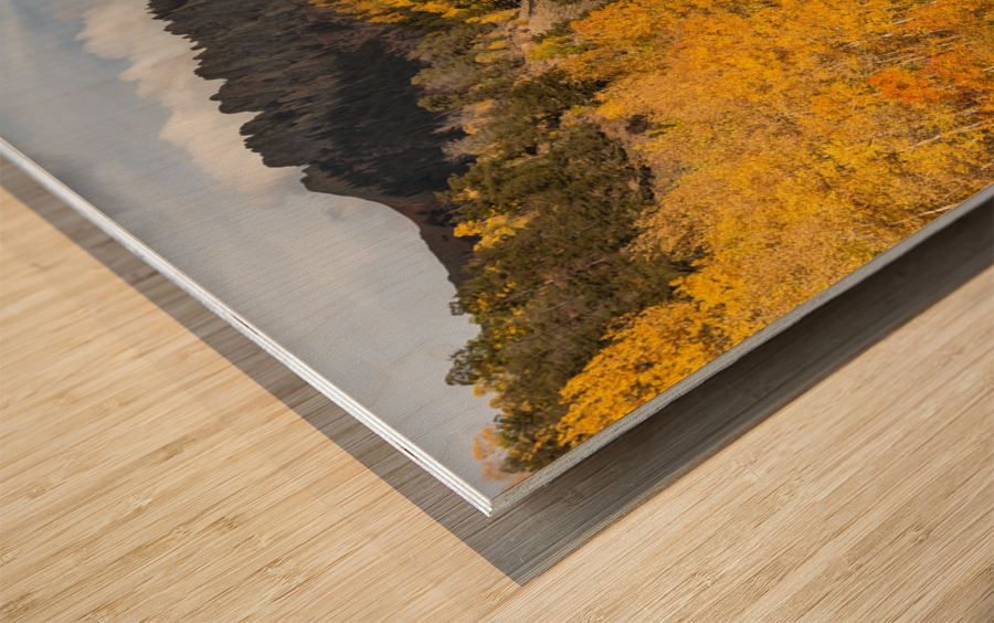 Easy Autumn Rider Wood print