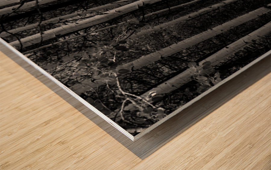 Shades Of A Forest Wood print