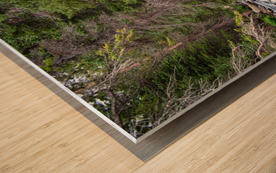 Rocky Mountain Stream Wood print