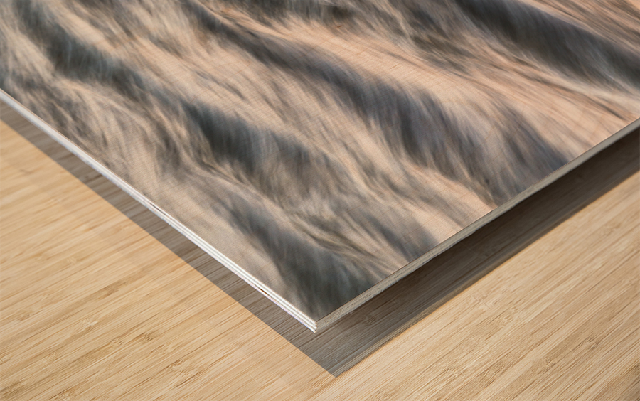 South Boulder Creek Sunset Blurred Lines Wood print