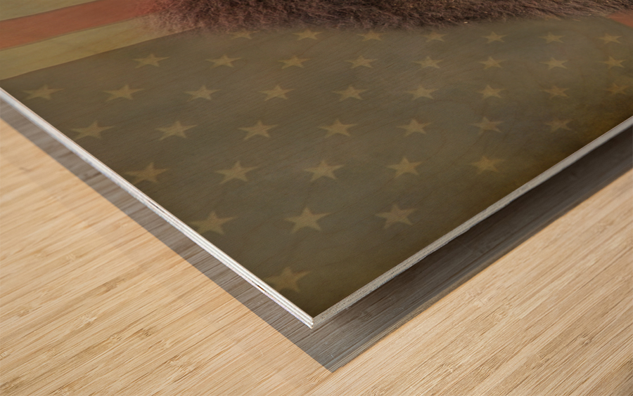 American Bison Profile Wood print