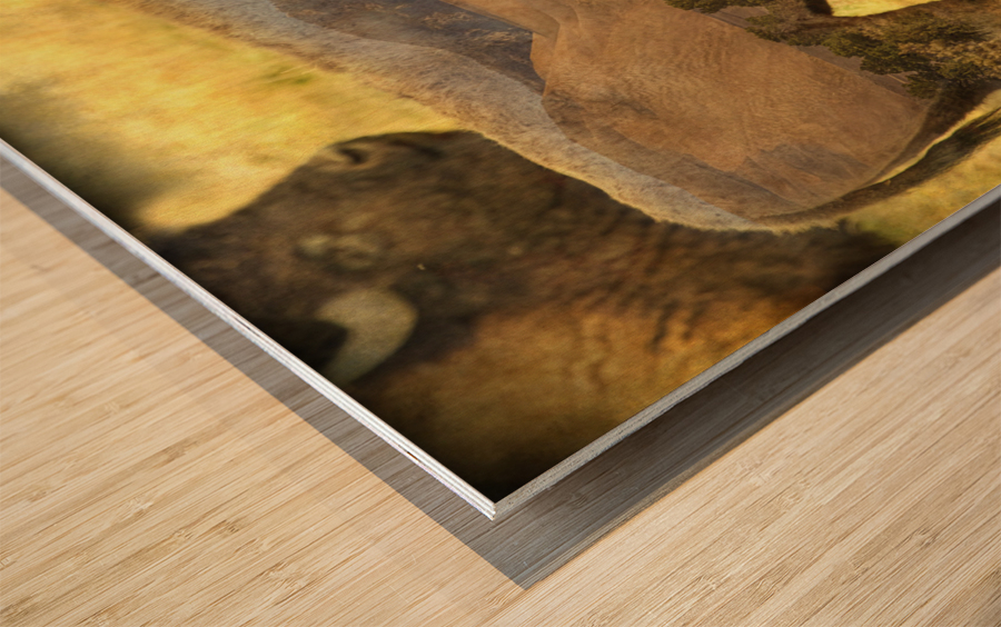 Buffaloe Sand Dunes Wood print