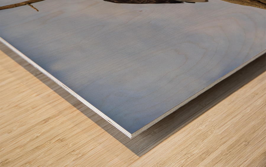 fish anyone Wood print