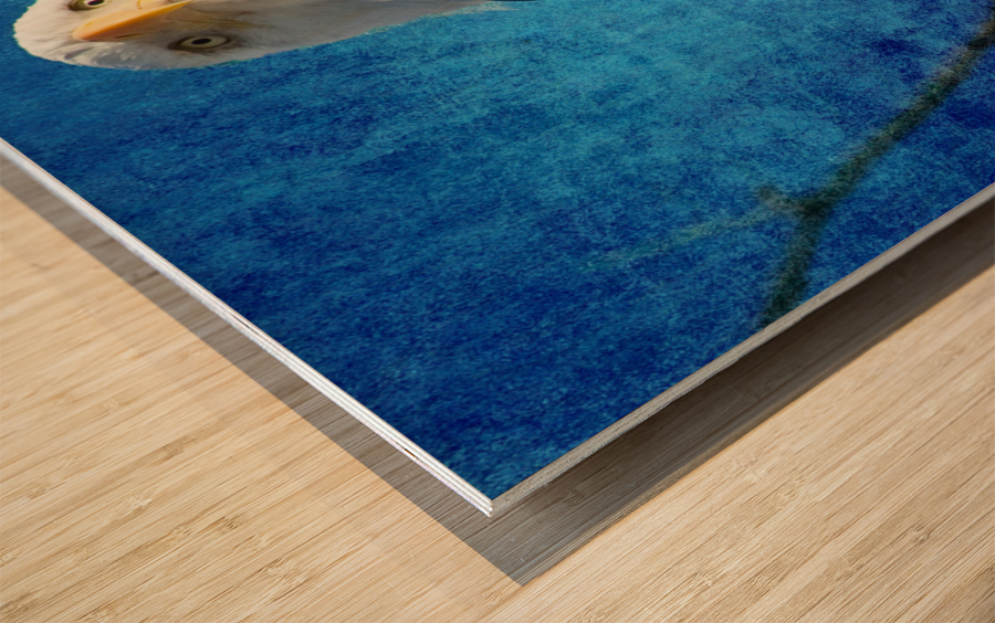 American Bald Eagle Blues Wood print